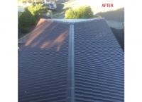 Roof Restoration Sutherland Shire image 2